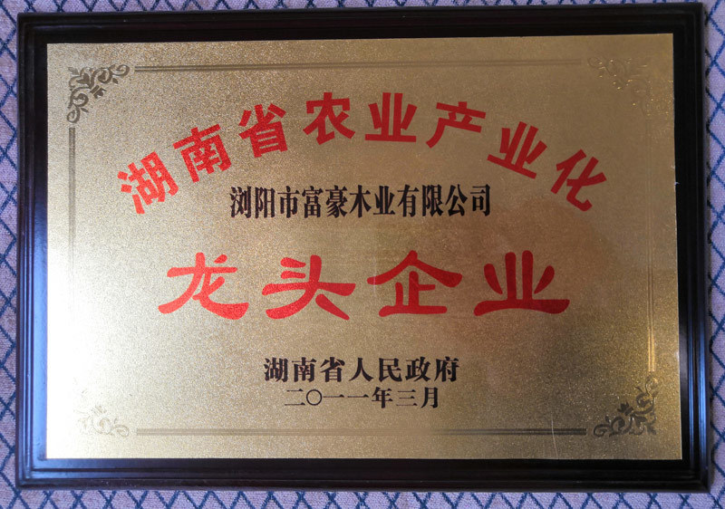 富豪楼梯荣获省林业产业龙头企业